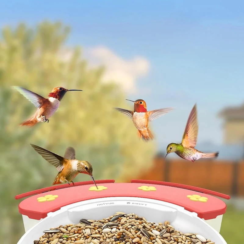Hummingbird Feeder Extension, Birdfy Add-ons Bird Feeder with Camera, 18.3 oz Hummingbird Feeders Perch, Red
