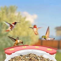Hummingbird Feeder Extension, Birdfy Add-ons Bird Feeder with Camera, 18.3 oz Hummingbird Feeders Perch, Red