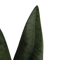 Faux sanseveria Coco dans un pot blanc 27,3cm H x 7,6cm L x 6,4cm P