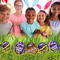 Cadbury, Assorted Mini Chocolate Easter Eggs Candy, Individually Wrapped, Prepared in Canada