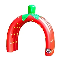 Strawberry Tunnel Sprinkler-3 Arch