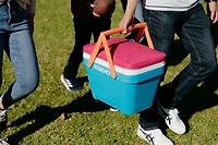 Igloo 25 Quart Picnic Basket Cooler, Cooler