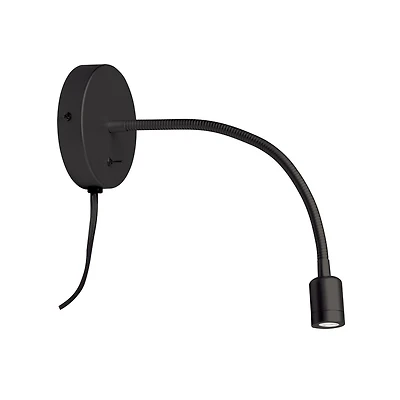 Wynne Wall Sconce