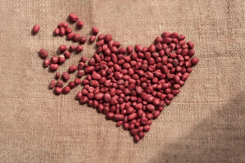 APPLEWOOD SIGNATURE ARACHIDE BIOLOGIQUE D'un rouge éclatant avec une taille de particules et un éclat uniformes, ces cacahuètes biologiques à peau rouge sont remplies d'un goût pur et délicieux. Qu'elles soient brassées, frites, bouillies, braisées ou combinées avec d'autres ingrédients, ces cacahuètes à peau rouge complètent parfaitement