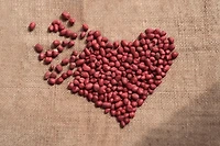APPLEWOOD SIGNATURE ARACHIDE BIOLOGIQUE D'un rouge éclatant avec une taille de particules et un éclat uniformes, ces cacahuètes biologiques à peau rouge sont remplies d'un goût pur et délicieux. Qu'elles soient brassées, frites, bouillies, braisées ou combinées avec d'autres ingrédients, ces cacahuètes à peau rouge complètent parfaitement