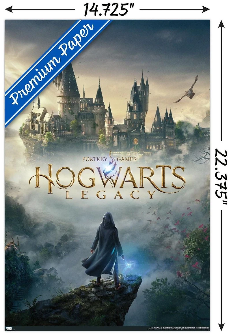 Harry Potter: Hogwarts Legacy - Key Art Wall Poster, 22.375" x 34"
