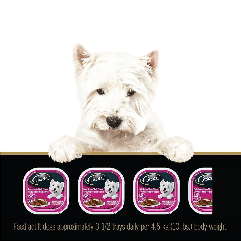 Cesar Classic Loaf in Sauce Porterhouse Steak Flavour Soft Wet Dog Food