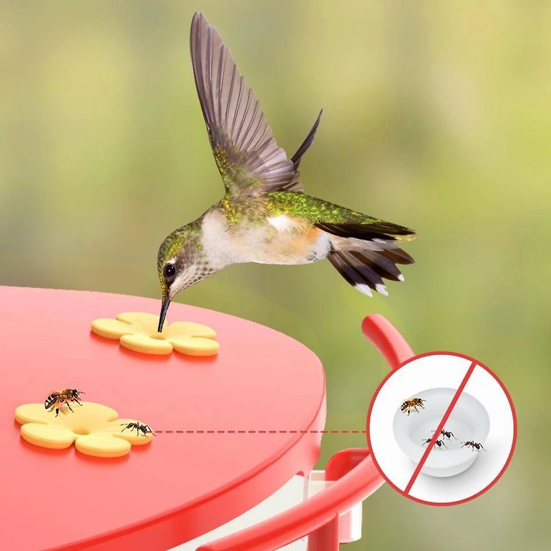 Hummingbird Feeder Extension, Birdfy Add-ons Bird Feeder with Camera, 18.3 oz Hummingbird Feeders Perch, Red