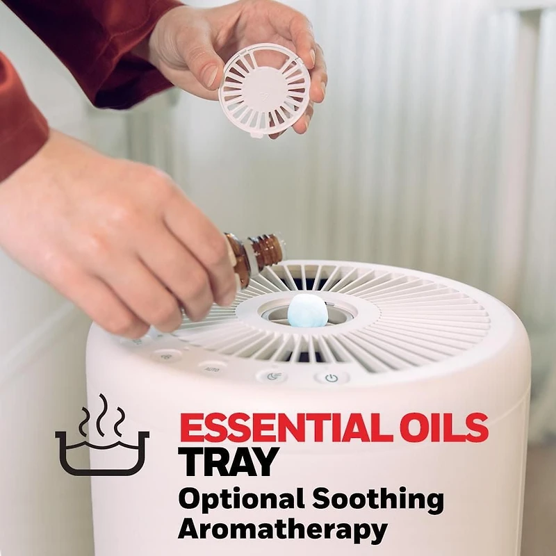 Purificateur d’air HEPA véritable série Designer HPA830WC Honeywell avec la technologie UltraQuiet et godet pour aromathérapie apaisante