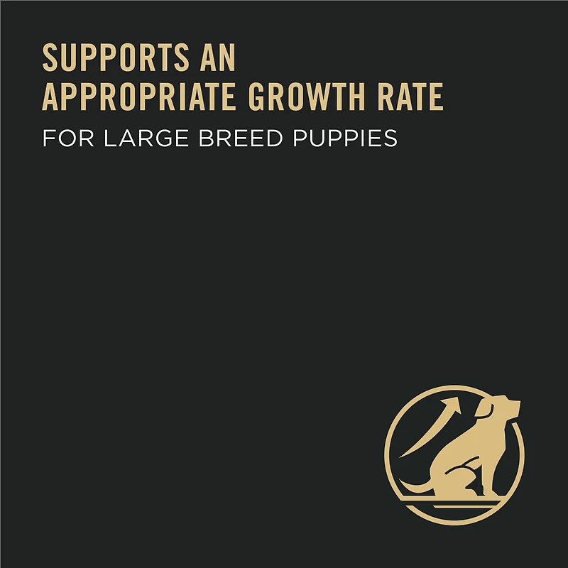 Purina Pro Plan Development Large Breed Chicken & Rice Formula, Dry Puppy Food