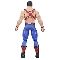 G.I. Joe Classified Series #114, Big Boa