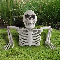 WAY TO CELEBRATE 11IN GRAVE SKELETON