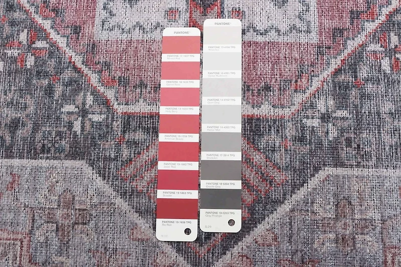 Tapis ECARPET Lavable en Machine et Respectueux de l'Environment Heriz