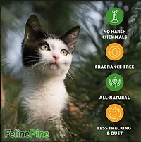 Litière pour chat naturelle non agglomérante Feline Pine Arm & Hammer, 9,07 KG, parfum naturel de pin, contrôle efficace des odeurs, sécuritaire pour les chatons Pin naturel
