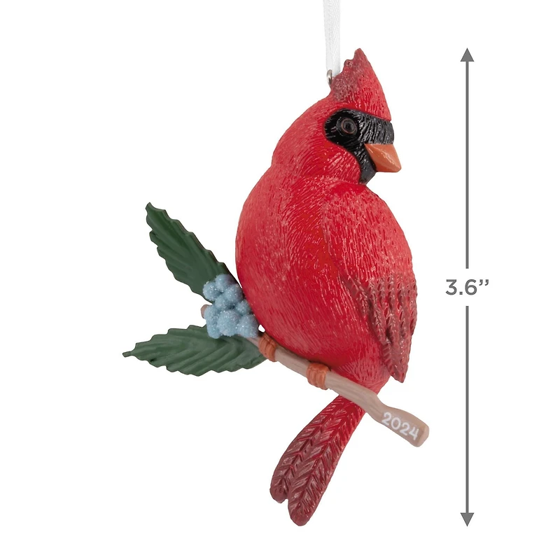 Hallmark Christmas Ornament (Cardinal Bird 2024)