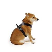 harnais pour chien One Paw, avec maille collée et coutures réfléchissantes, disponible en plusieurs tailles couleurs. Le Paw