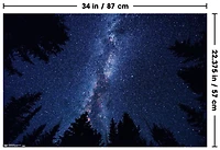 Milky Way At Night Wall Poster, 22.375" x 34"