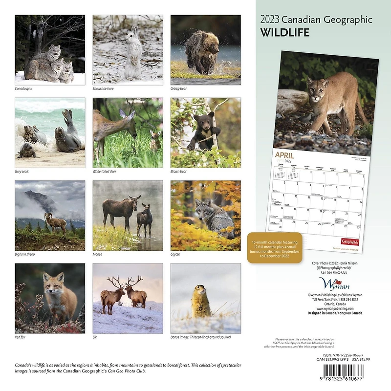 Canadian Geographic Wildlife 2023 Square