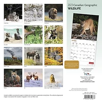 Canadian Geographic Wildlife 2023 Square