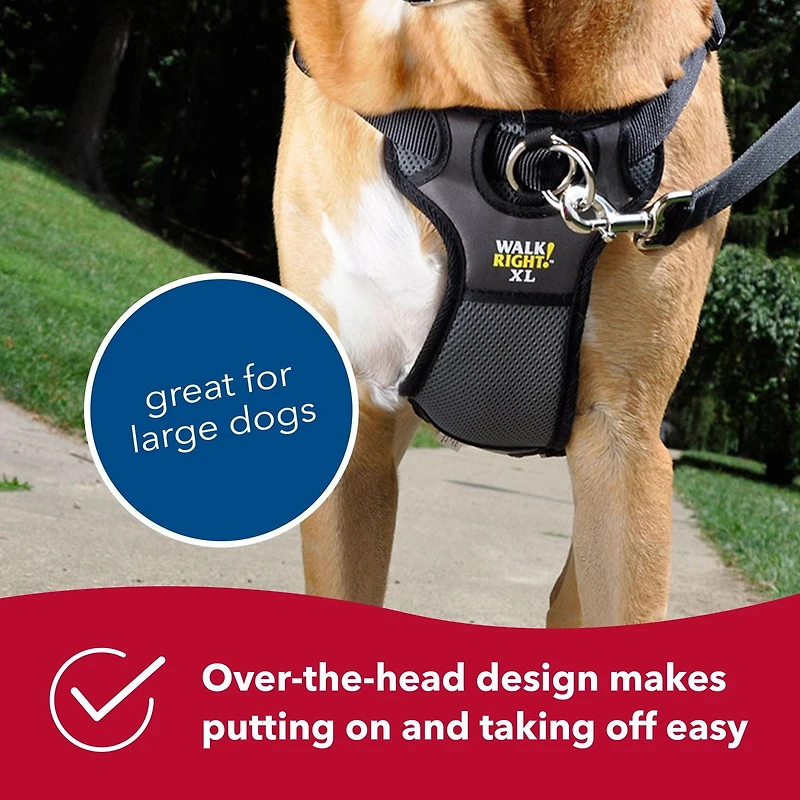 Coastal Pet Products Large Black Walk Right! Front-Connect Padded Dog Harness, Large Dog Harness
