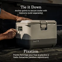 Glacière rigide premium Coleman Pro, 17 qt (16 pintes), format boîte à lunch, robuste, ultralégère, couvercle et corps entièrement isolés, garde le froid pendant des jours