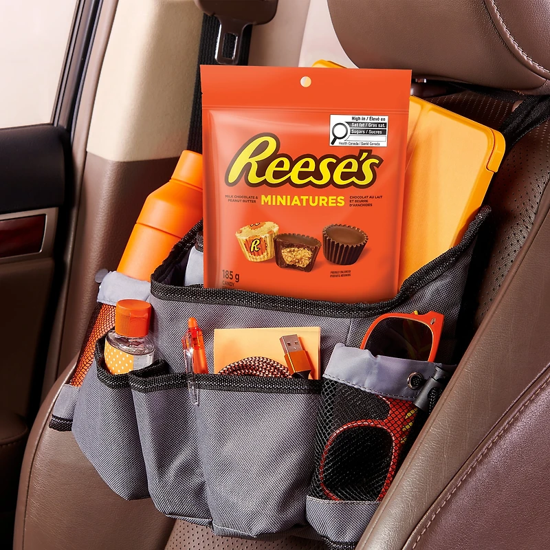 REESE'S Miniatures PEANUT BUTTER CUPS Candy, Great for sharing, 185g