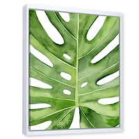 Designart Green Monstera Leaf Tropical Palm Botanical Detail FLOAT FRAME WALL ART