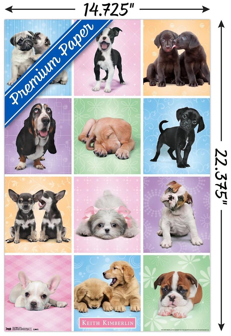 Keith Kimberlin - Puppies - Cuties Grid Wall Poster, 22.375" x 34"