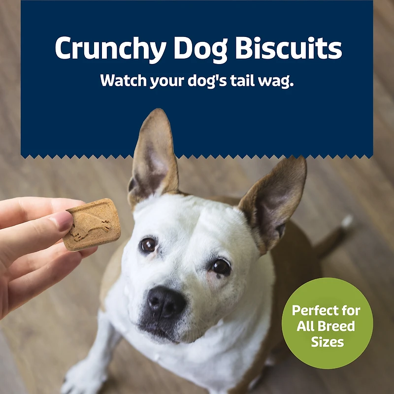 Blue Buffalo Health Bars Crunchy Dog Biscuits, Apples & Yogurt, 453g