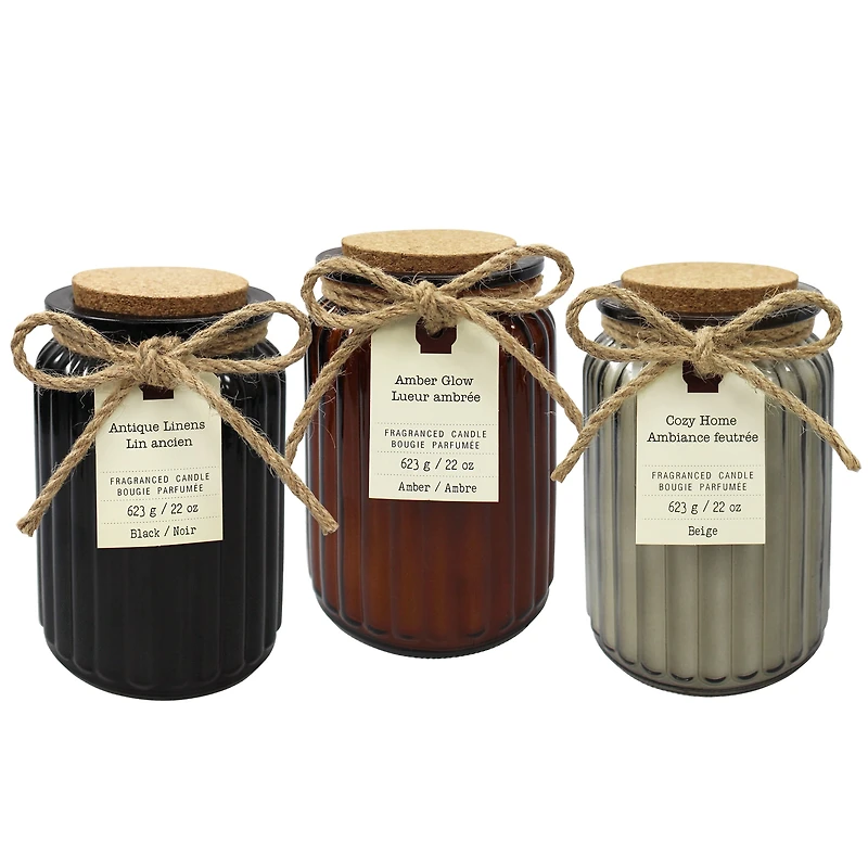 Hometrends 22oz Bougie parfumée en pot - Lin ancien