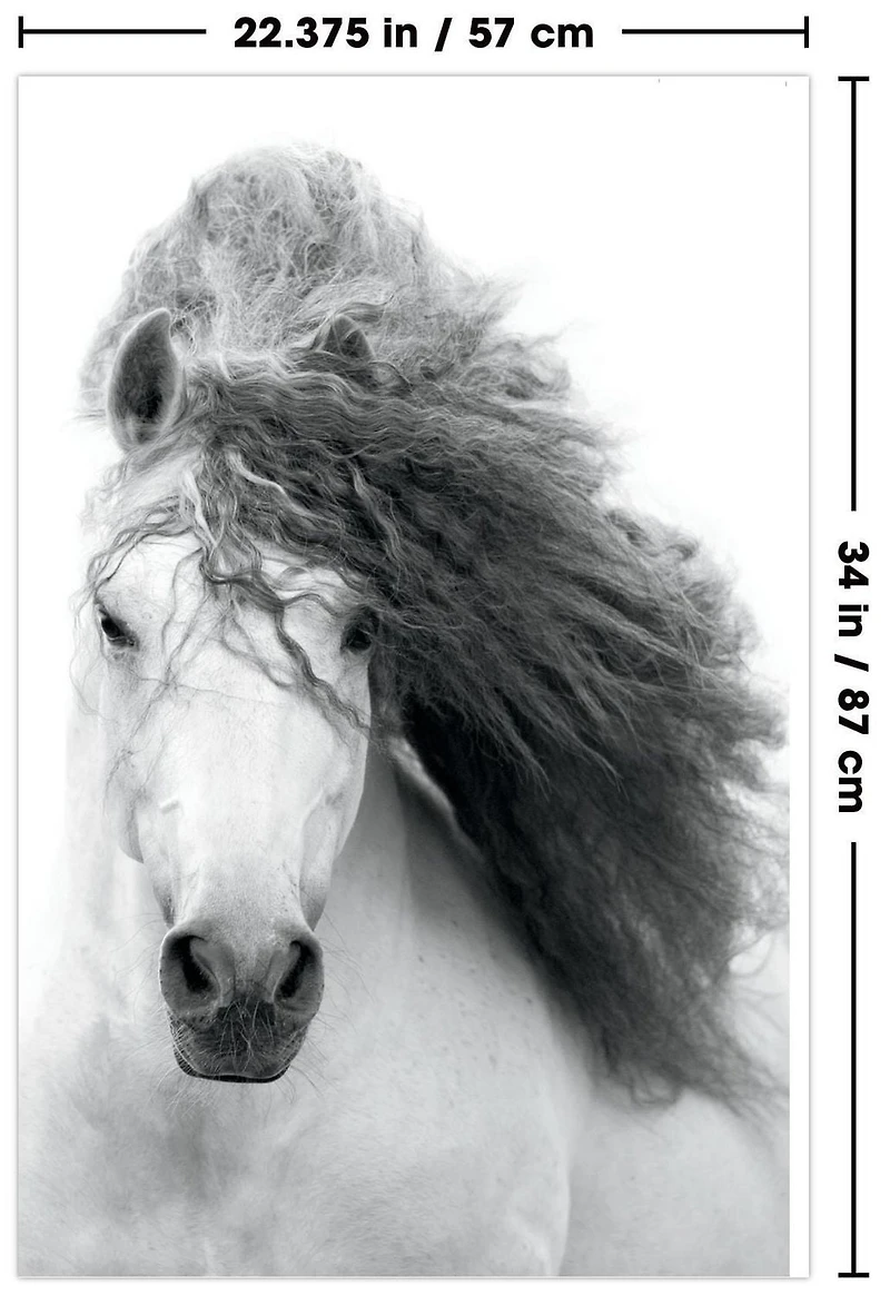 Grayscale Horse Wall Poster, 22.375" x 34"
