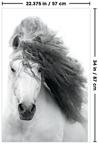 Grayscale Horse Wall Poster, 22.375" x 34"