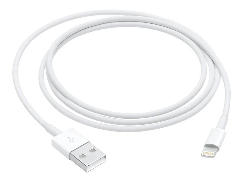 Câble Lightning vers USB Apple (1 m)