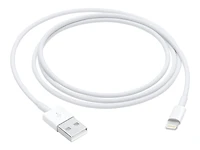 Câble Lightning vers USB Apple (1 m)