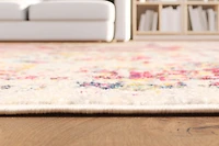 ECARPET Aldora Traditional Area Rug for Living Room, Bedroom, Dining Entrance, Hallway and More