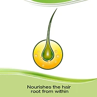 Vitamines pour la pousse des cheveux avec biotine Priorin – Vitamines pour les cheveux destinées à stimuler la pousse des cheveux chez les hommes et les femmes; réduit la perte de cheveux après le lav 60 capsules, 1 mois de traitement