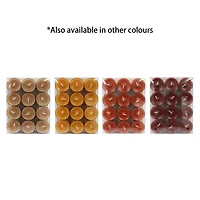 24-Pack Pumpkin Spice Scented Clear Cup Tealight Candle