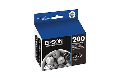 Cartouches d'encre noire T200120-D2 DURABrite de Epson, rendement standard, 2 par paq.