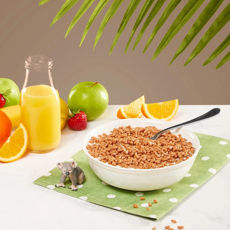 Nature's Path Envirokidz Gluten Free Koala Crisp Organic Cereal