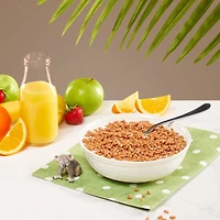 Nature's Path Envirokidz Gluten Free Koala Crisp Organic Cereal