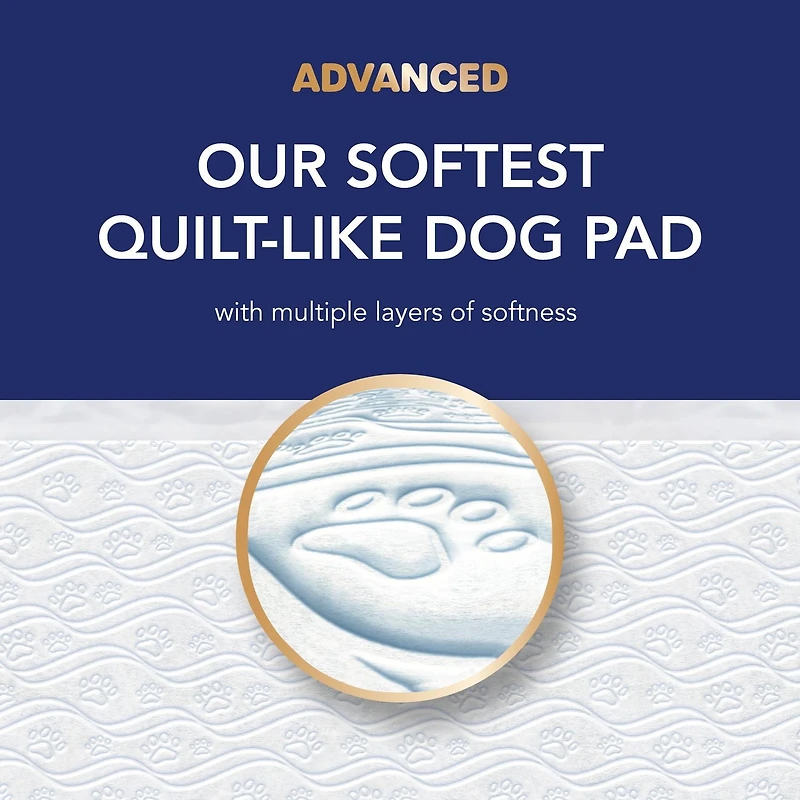 Scott Pet Guard Advanced Dog Pads - Dog Training Pee Pads for Puppies, Medium & Large Dogs - Up to 16 Hour Absorbency with odour Control - Softest Quilted Dog Pee Pads - XL - 30" x 36" - 40 Pack