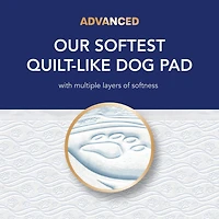 Scott Pet Guard Advanced Dog Pads - Dog Training Pee Pads for Puppies, Medium & Large Dogs - Up to 16 Hour Absorbency with odour Control - Softest Quilted Dog Pee Pads - XL - 30" x 36" - 40 Pack