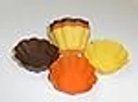 ALTRA FRENCH FRIES CRISPY