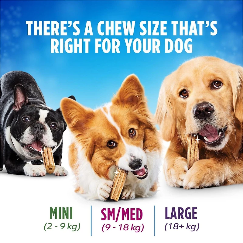 DentaLife Gâteries pour Chiens pour les Soins Buccodentaires Quotidiens pour Races Petites et Moyennes 507-808g