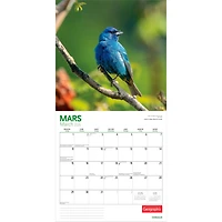 Canadian Geographic Oiseaux 2026 Carré FRANÇAISE Wyman DÉJOUER