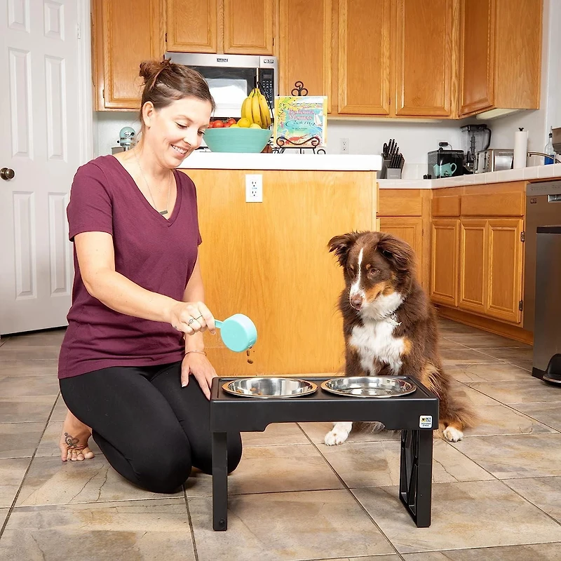 Pet Zone Designer Diner Adjustable Elevated Dog Double Feeder, Double Feeder