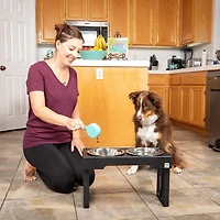 Pet Zone Designer Diner Adjustable Elevated Dog Double Feeder, Double Feeder