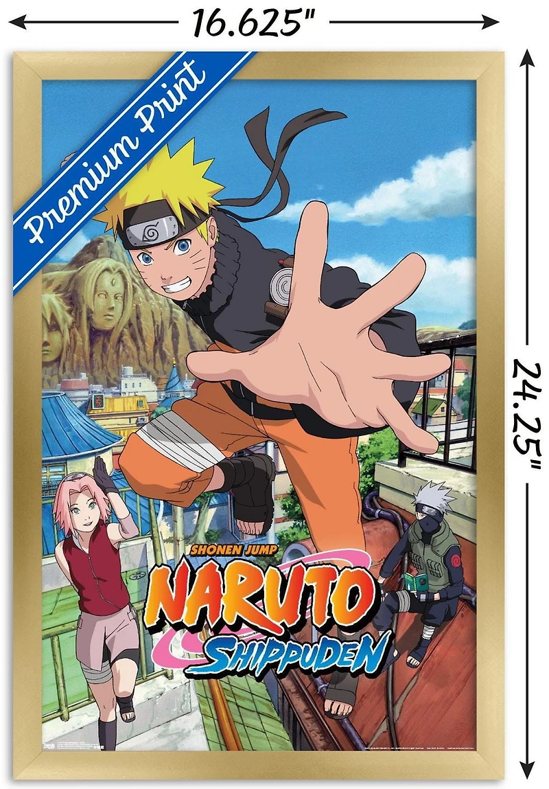 Naruto Shippuden - Sauter