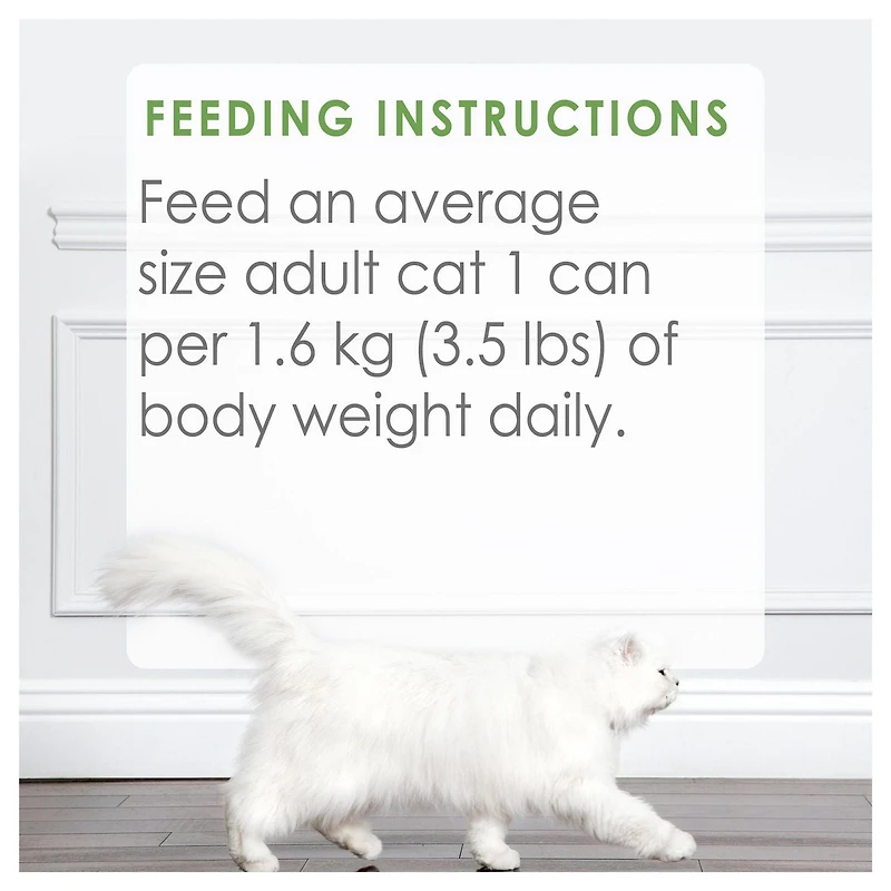 Fancy Feast Medleys Shredded White Meat Chicken Fare in a Savoury Broth, Wet Cat Food 85 g, 85 g