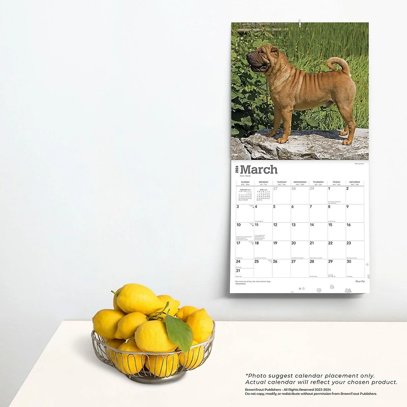 BrownTrout Shar Pei 2024 Mur Carré 30.48x60.96 CM, 9781975464950